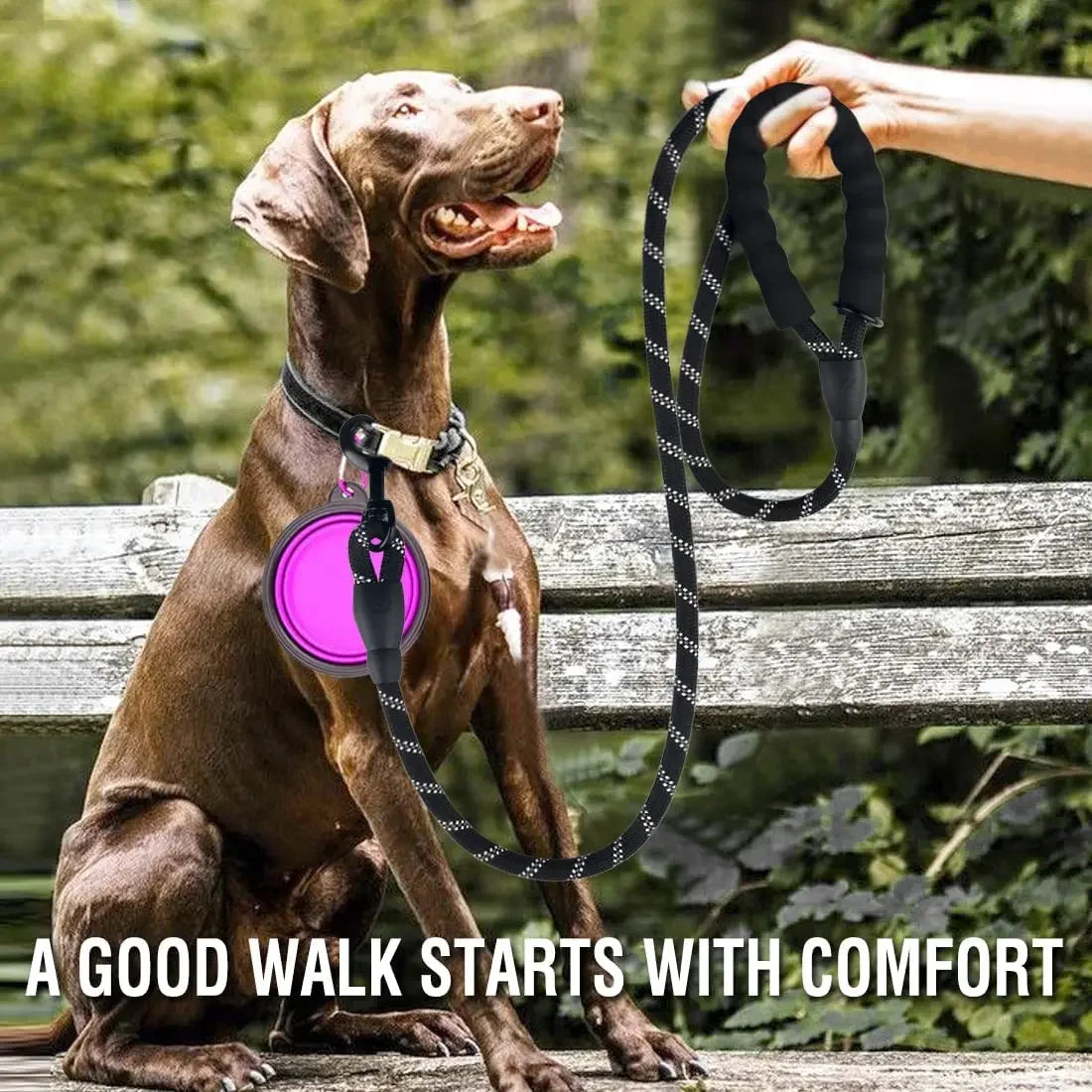 Strong Reflective Nylon Dog Leash – Heavy-Duty, Extra Safe for Big, Medium & Small Dogs